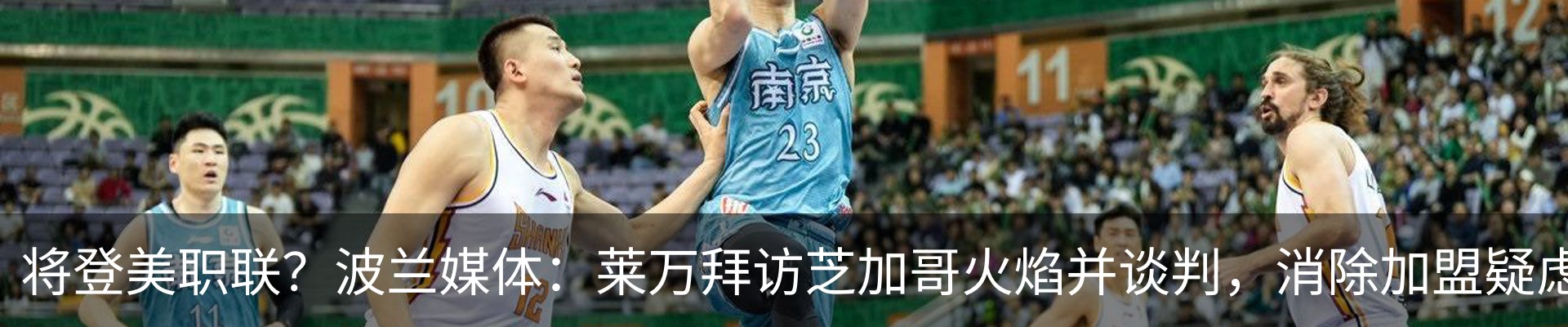 新闻动态