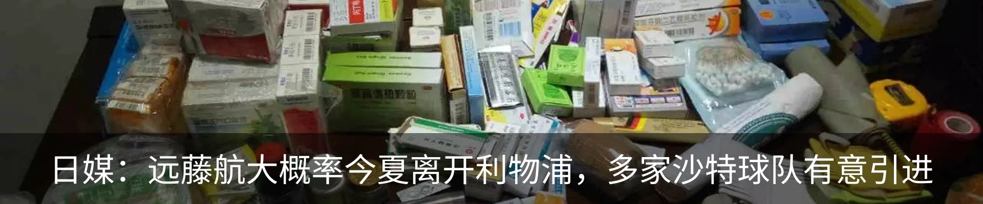 新闻动态